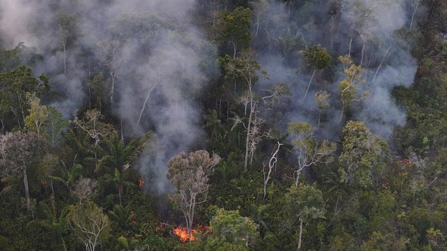 A drone view of an area of rainforest burning during the dry season in the municipality of Autazes, Amazonas state, Brazil, on October 12, 2026. REUTERS/Bruno Kelly