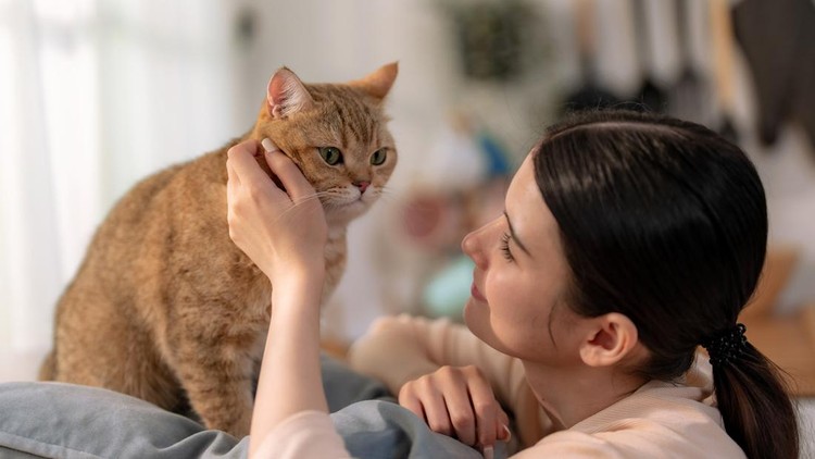 Happy Asian woman enjoying playing with her cute pet at home&period;