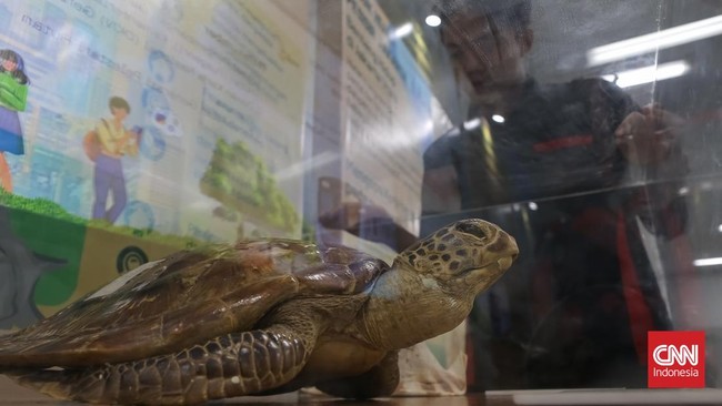 Suasana pameran temporer Hutan dan Peradaban: Dari Ekosistem Kehidupan Menuju Masa Depan di Stasiun MRT Bundaran HI, Jakarta, Rabu (14/10/2026).