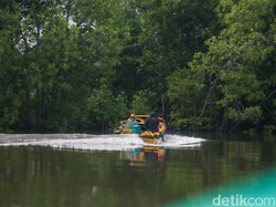 Kades Liagu Ungkap Maraknya Penjarah Kayu Asal Tarakan