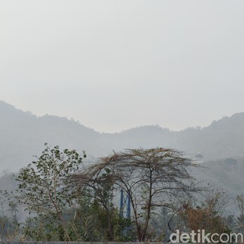 Tak Hanya Fisik, Asap Kebakaran Hutan Juga Bisa Ganggu Mental dan Pikiran