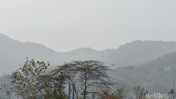 Tak Hanya Fisik, Asap Kebakaran Hutan Juga Bisa Ganggu Mental dan Pikiran