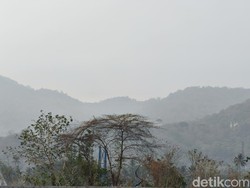 Udara di Gorontalo Tak Sehat Imbas Karhutla Kalimantan-Papua