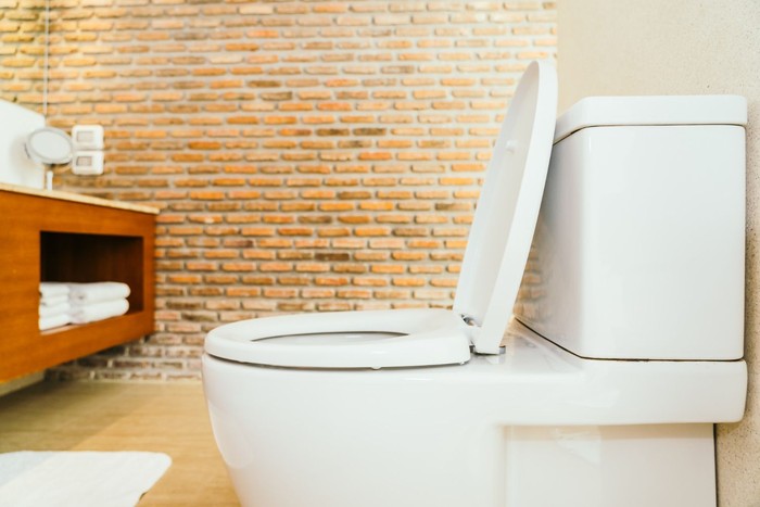 Kondisi rumah yang bisa ungkap nasib buruk penghuninya adalah toilet yang tidak ditutup.