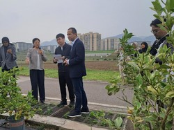 Mentrans Cek Teknologi Pertanian di Chongqing, Mau Terapkan di Area Transmigrasi