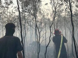 Indonesia Yet to Respond to Malaysias Offer of Help on Forest Fires