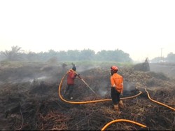 Asap Karhutla Ancam Penghasilan Warga Kobar, Dinsos Ingatkan Dampak Sosial