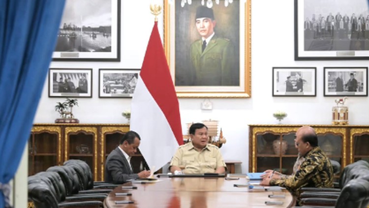 Danantara Gerak Cepat Benahi Arsitektur Bisnis PLN: Target 100 GW Surya dan Efisiensi Subsidi