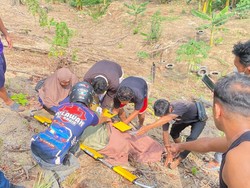 Pria 60 Tahun Alami Luka Bakar Akibat Karhutla Berujung Meninggal Dunia