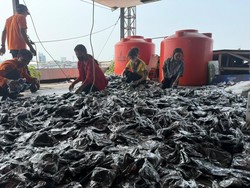 BPBD Makassar Siapkan Masker 1 Kontainer Imbas Udara Memburuk
