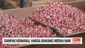 Dampak Kemarau, Harga Bawang Merah Naik