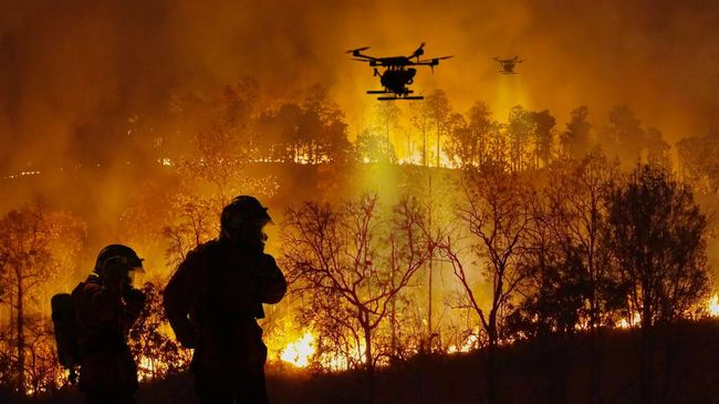 Penyebab Munculnya Lubang Api Bawah Tanah di Kalimantan yang Merah Membara saat Karhutla