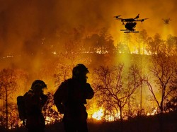Pakar: Pemulihan Hutan Imbas Karhutla Harus Pertimbangkan Kebutuhan Satwa