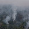 Kebakaran Hutan Amazon Makin Meluas 2 Kali Lipat, El Nino Makin Nyata