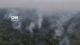 Kebakaran Hutan Amazon Makin Meluas 2 Kali Lipat, El Nino Makin Nyata