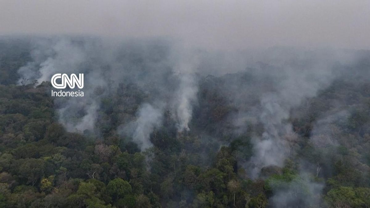 Kebakaran Hutan Amazon Makin Meluas 2 Kali Lipat, El Nino Makin Nyata