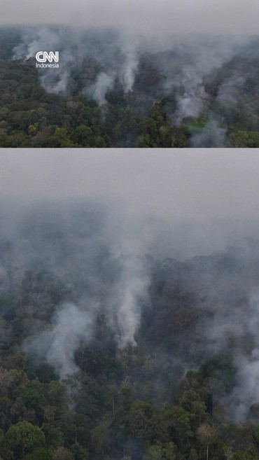 Kebakaran Hutan Amazon Makin Meluas 2 Kali Lipat, El Nino Makin Nyata