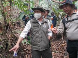 Api Mendekati Zona Inti TNTP, Jalur Darat dan 40 Sumur Bor Disiapkan