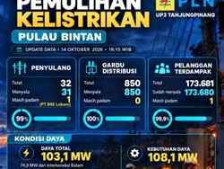 Listrik 173.680 Pelanggan di Pulau Bintan Kembali Menyala, 1 Masih Padam