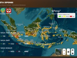 Cara Cek Hotspot-Kualitas Udara dari HP, Pantau Karhutla di Situs BNPB