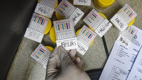 Tim gabungan Direktorat Tindak Pidana Narkoba Bareskrim Polri, Badan Narkotika Nasional (BNN), dan Polda Metro Jaya memeriksa hasil tes urine milik terduga pelaku tindak pidana peredaran narkoba di Kompleks Permata (Kampung Ambon), Kedaung Kaliangke,