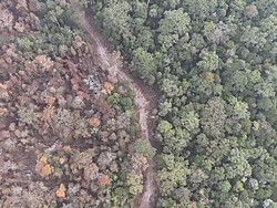 Norways Nearly IDR 4 Trillion Fund Could Help Tackle Forest Fires