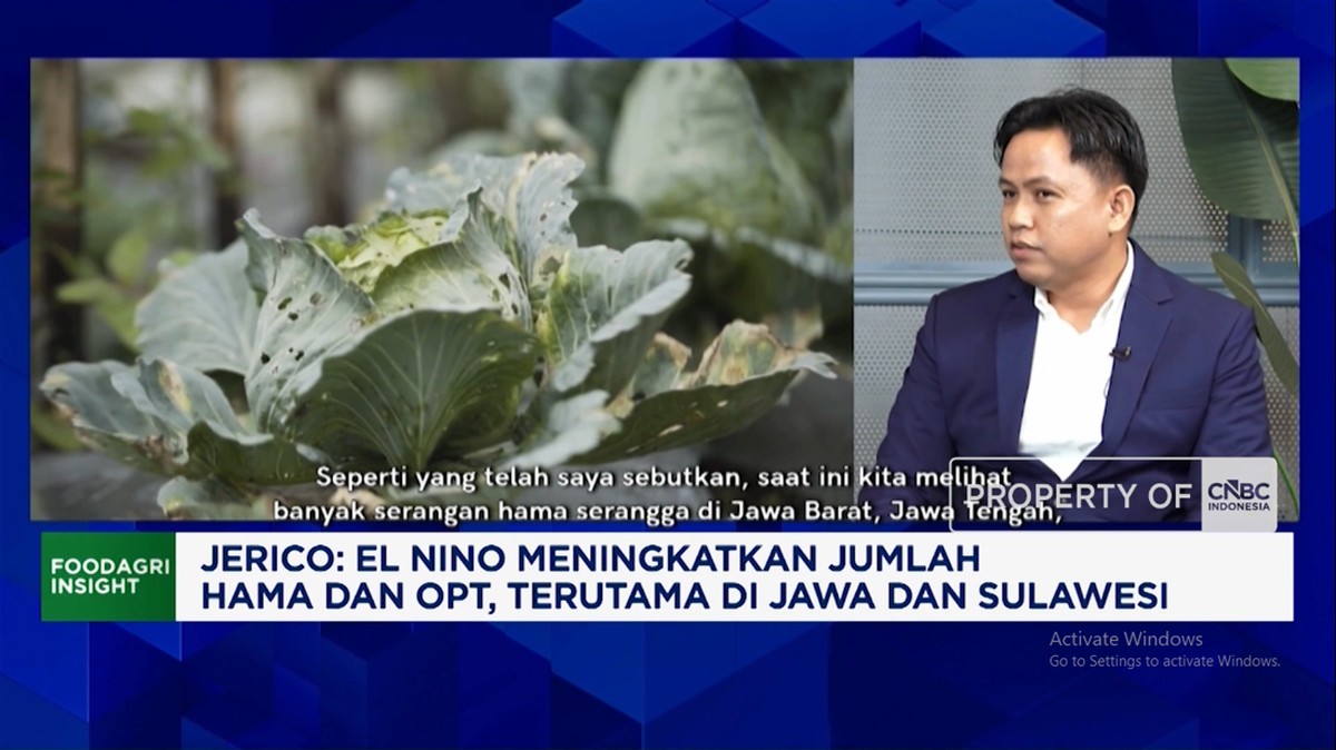 Video: Basmi Hama Musim Kemarau, Produsen Pestisida Gandeng Peneliti