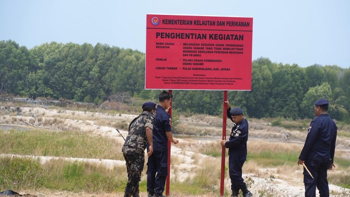 Disegel Trenggono, Ini Penampakan Tambak Udang 7,7 Ha di Karimunjawa