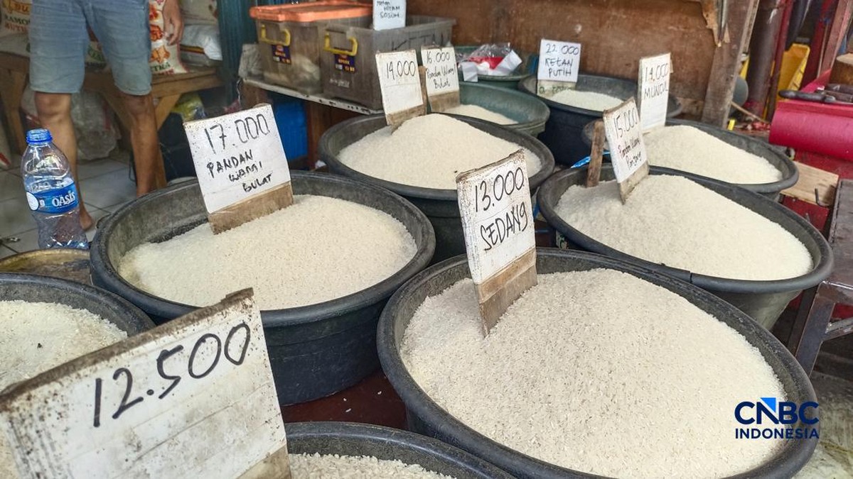 Harga Beras di Pasar Naik, Ini Pengakuan Jujur Pedagang