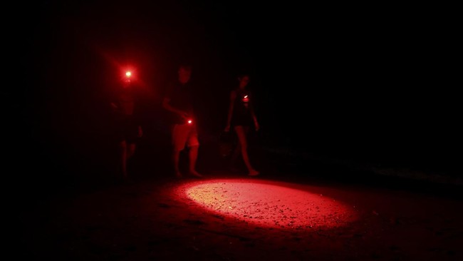 Sea turtle biologist Yakup Kaska and volunteers watch baby turtles crawl towards the sea shortly after hatching on Iztuzu Beach on Turkey's Mediterranean coast in Mugla province, Turkey, September 3, 2026. REUTERS/Dilara Senkaya