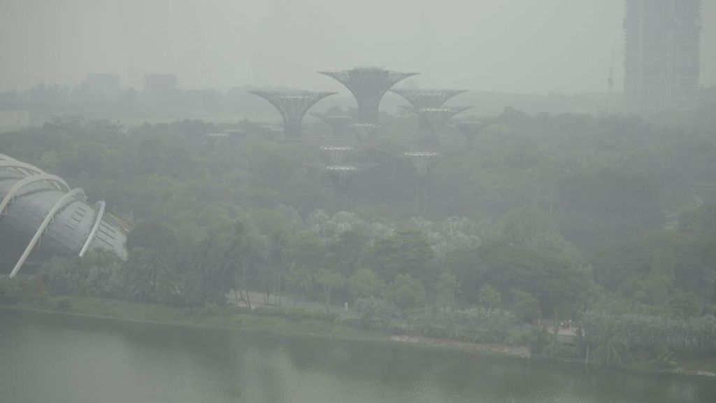 Daftar 7 Perusahaan di RI yang Diduga Singapura Terlibat Karhutla