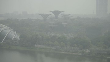 Daftar 7 Perusahaan di RI yang Diduga Singapura Terlibat Karhutla