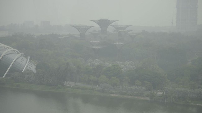 The Supertree Grove is seen in Singapore on October 15, 2026, as the country continues to be shrouded in haze caused by fires in Indonesia. Toxic haze has covered parts of Indonesia, Malaysia and Singapore for weeks as Jakarta struggles to contain fi