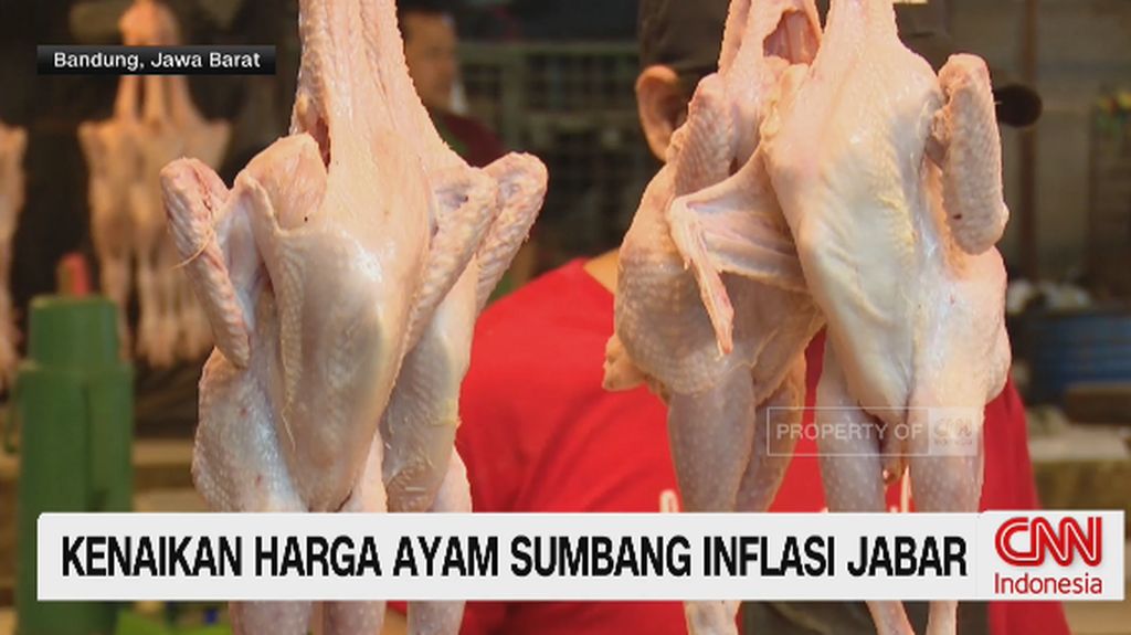 VIDEO: Kenaikan Harga Ayam Sumbang Inflasi Jabar