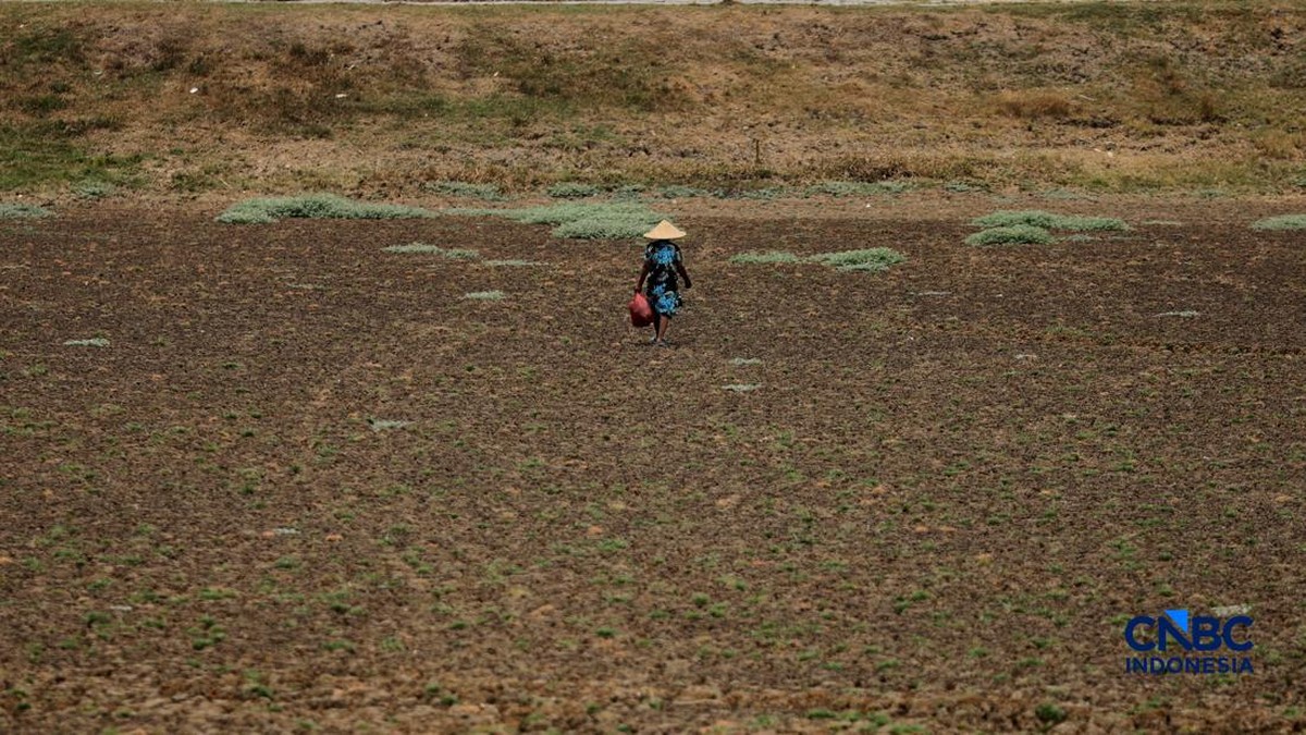 19.251 Warga RI Diprediksi Meninggal Per Februari 2027 karena El Nino