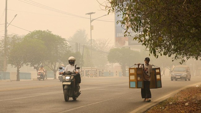 A street vendor carries a food cart attachment along a road as haze from wildfires shrouds the area in Palangka Raya, Central Kalimantan province, Indonesia, October 18, 2026. REUTERS/Usep Hariadi