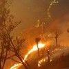 Kebakaran hutan dan lahan (karhutla) di sejumlah kawasan gunung dan pegunungan Jawa Timur masih terus berlangsung hingga Senin (19/10). Api terpantau masih menyala di kawasan Gunung Bromo, Gunung Sigiran, Gunung Arjuno-Welirang atau Ringgit, hingga k