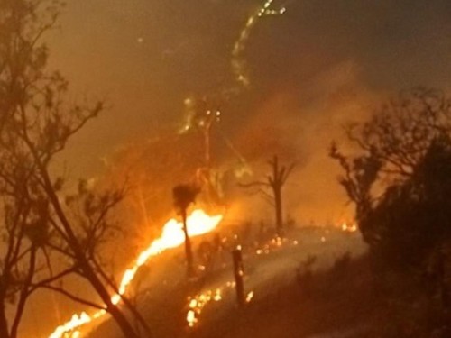 Kebakaran hutan dan lahan (karhutla) di sejumlah kawasan gunung dan pegunungan Jawa Timur masih terus berlangsung hingga Senin (19/10). Api terpantau masih menyala di kawasan Gunung Bromo, Gunung Sigiran, Gunung Arjuno-Welirang atau Ringgit, hingga k