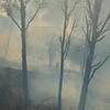 Kebakaran hutan dan lahan (karhutla) di sejumlah kawasan gunung dan pegunungan Jawa Timur masih terus berlangsung hingga Senin (19/10).