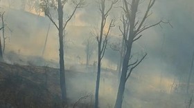 Kebakaran hutan dan lahan (karhutla) di sejumlah kawasan gunung dan pegunungan Jawa Timur masih terus berlangsung hingga Senin (19/10).