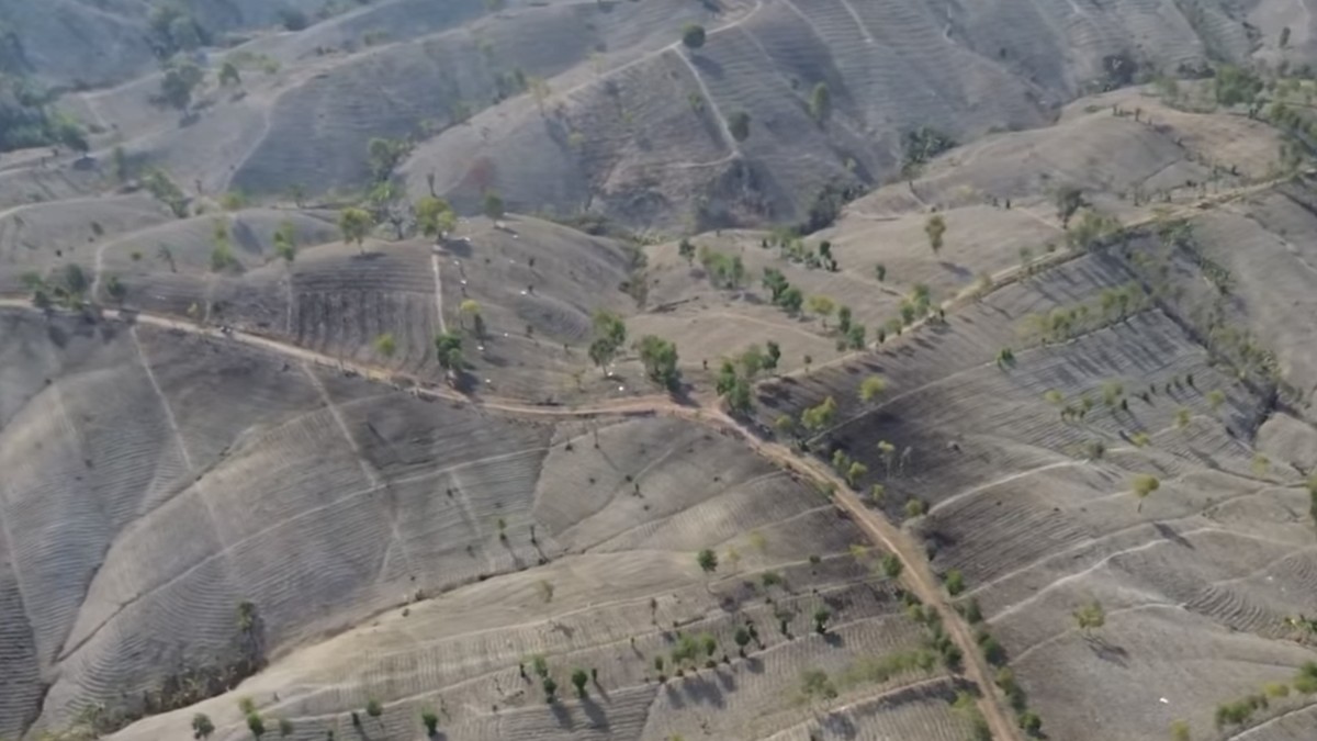 Warga Grobogan Jateng Hidup Bak di Mesir, Dikepung Gurun Pasir Baru