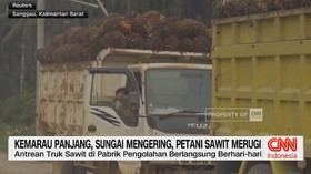 Kemarau Panjang, Sungai Mengering, Petani Sawit Merugi
