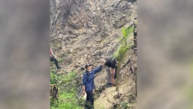 Polisi temukan lahan bekas karhutla di Dharmasraya mulai ditanam sawit. Bupati minta cabut dan ganti tanaman hutan, proses hukum akan dilakukan.