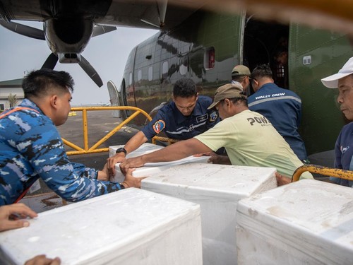 11 Pesawat TNI AU Dikerahkan Bantu Padamkan Kebakaran Hutan