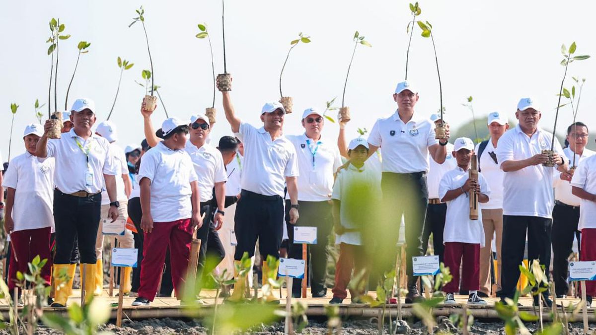AHY dan Ahmad Luthfi Tanam Mangrove di Demak untuk Atasi Abrasi Pantura