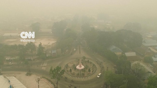 Penampakkan Kabut Asap Karhutla Dari Langit Kalimantan Tengah