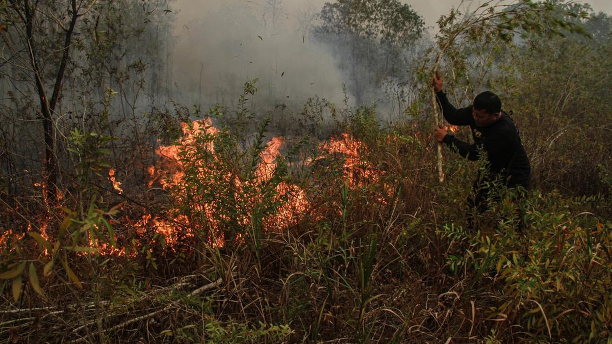 Petugas berupaya memadamkan kebakaran lahan di Kecamatan Jekan Raya, Palangka Raya, Kalimantan Tengah, Minggu (18/10/2026). Pemerintah Kota Palangka Raya memperpanjang status tanggap darurat kebakaran hutan dan lahan (karhutla) hingga 9 November 2026