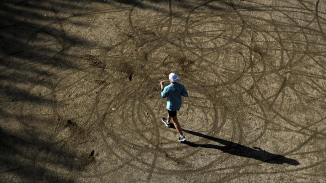 A person jogs along the Main river embankment in Frankfurt am Main, western Germany, on October 14, 2026, as air temperatures reached 15 degrees Celsius. (Photo by Kirill KUDRYAVTSEV / AFP)