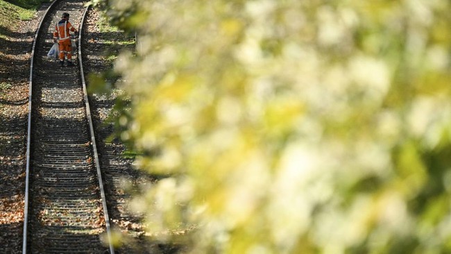 A worker collects autumn leafs off an out of order railway on the Main river embankment in Frankfurt am Main, western Germany, on October 14, 2026, as air temperatures reached 15 degrees Celsius. (Photo by Kirill KUDRYAVTSEV / AFP)