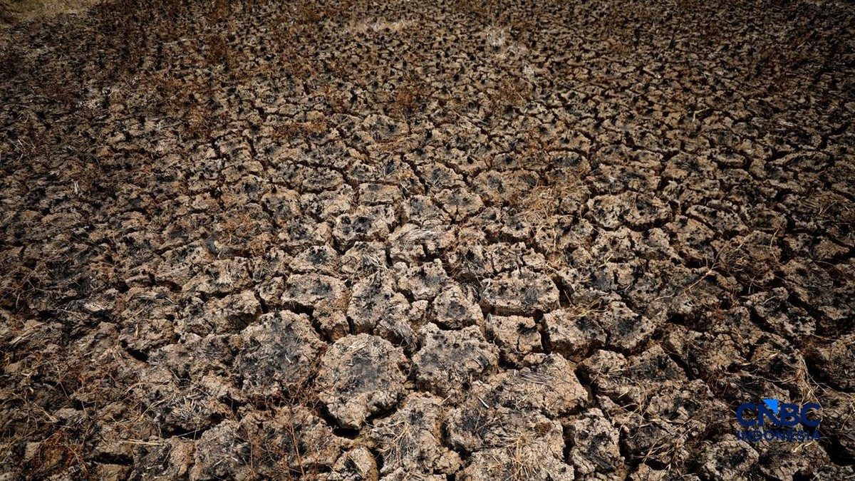 AI Tunjuk Lokasi Sumber 'Kiamat' 2 Tahun Sebelum Waktunya